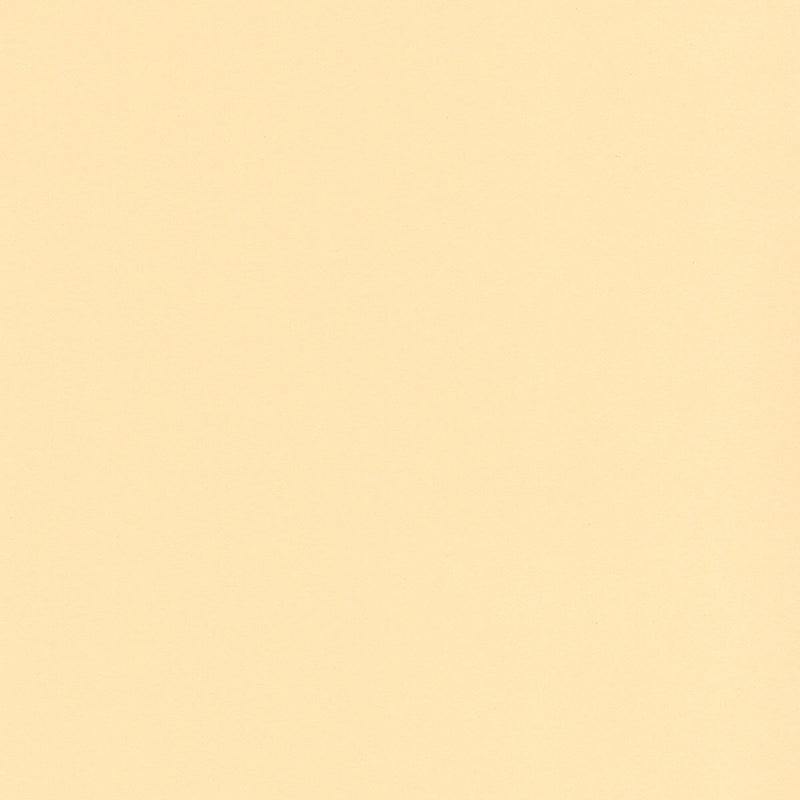 Cream Vellum Scallop Gift Tags (Pack of 50)