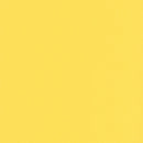 Daffodil Scallop Gift Tags (Pack of 50)
