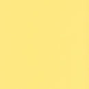 Sunlight Yellow Scallop Gift Tags (Pack of 50)