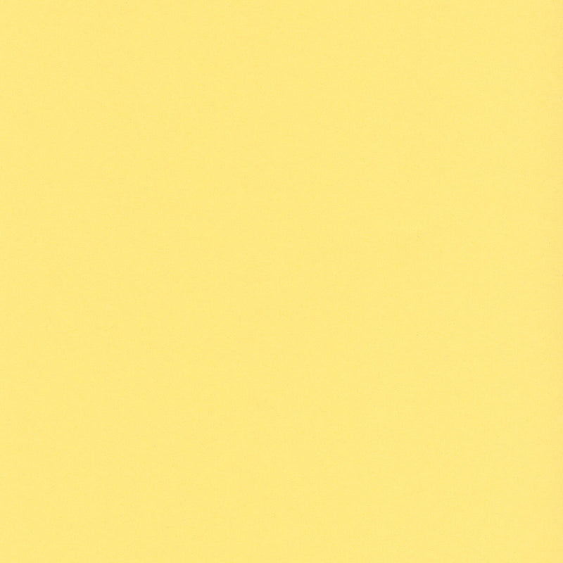 Sunlight Yellow Scallop Gift Tags (Pack of 50)